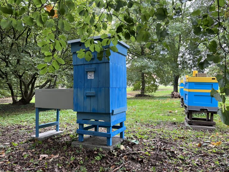 Ul transmisyjny gotowy – niedługo transmisja w Pasieka TV!