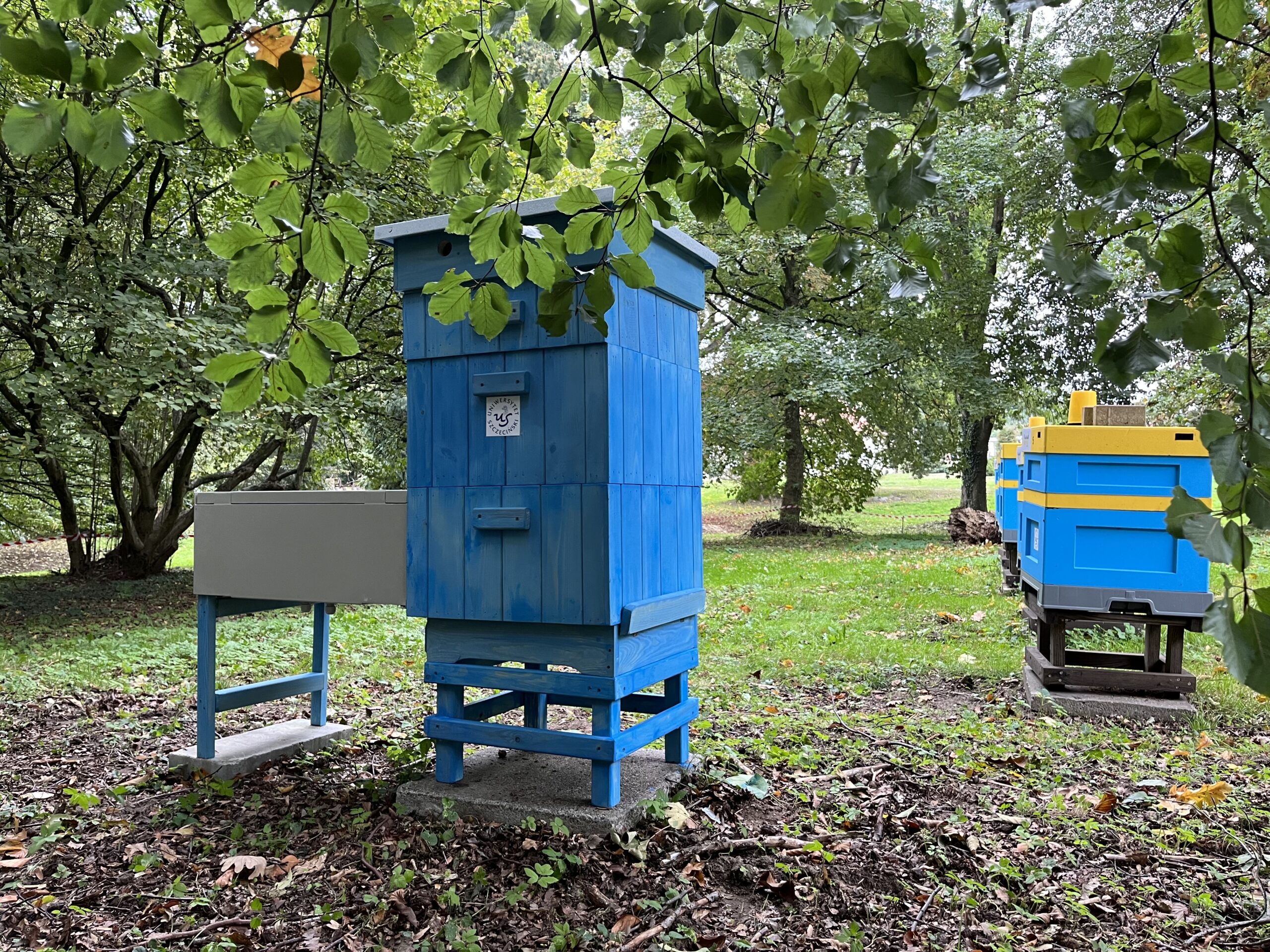 Ul transmisyjny gotowy – niedługo transmisja w Pasieka TV!