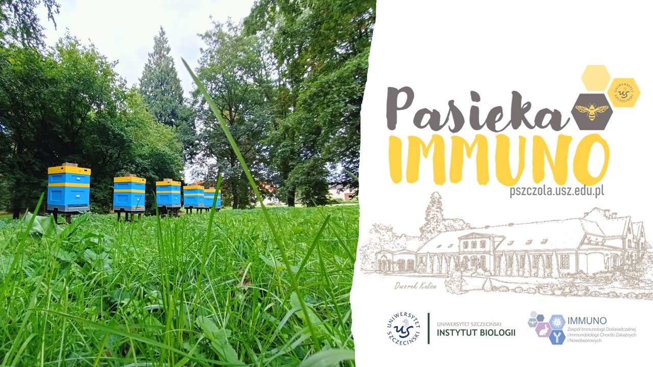 Ruszył nowy projekt zespołu IMMUNO – „Pasieka IMMUNO” 