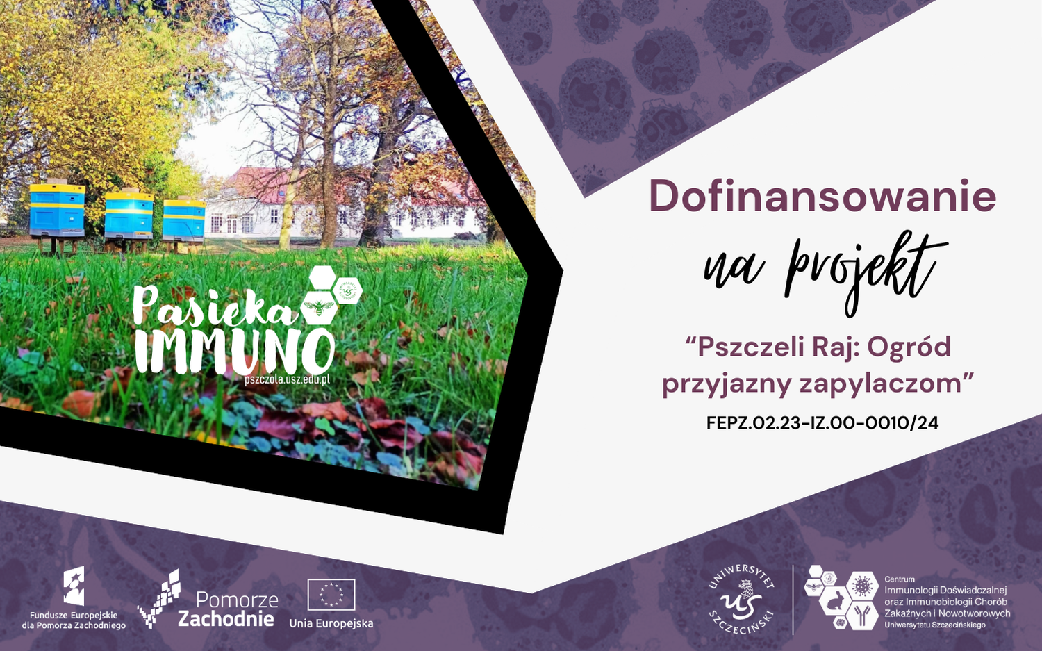 Projekt „Pszczeli Raj: Ogród przyjazny zapylaczom” z finansowaniem