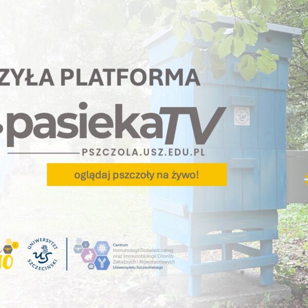 Platforma PASIEKA TV już dostępna! Obserwuj życie pszczół na żywo!