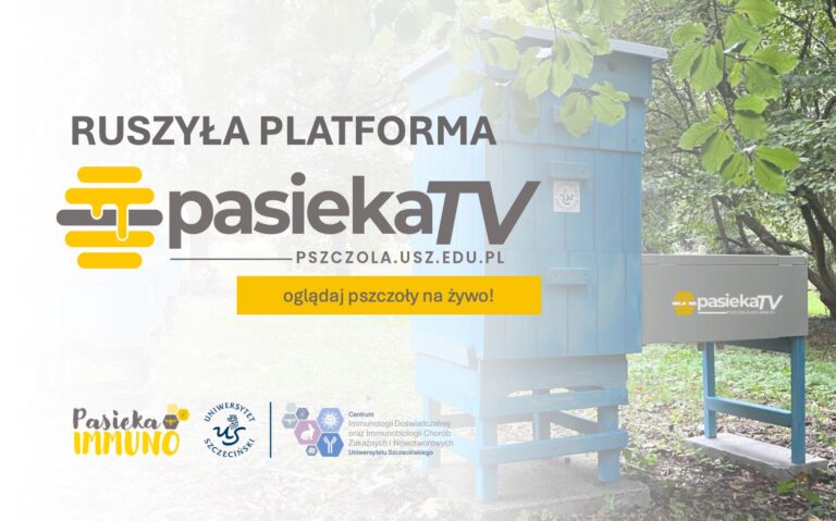 Platforma PASIEKA TV już dostępna! Obserwuj życie pszczół na żywo!